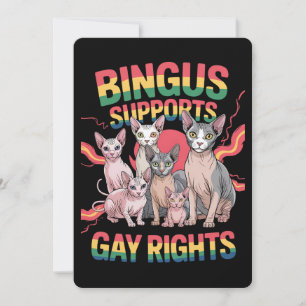 Bingus unterstützt Gay Rights Sphynx Cat LGBTQ Pri Einladung
