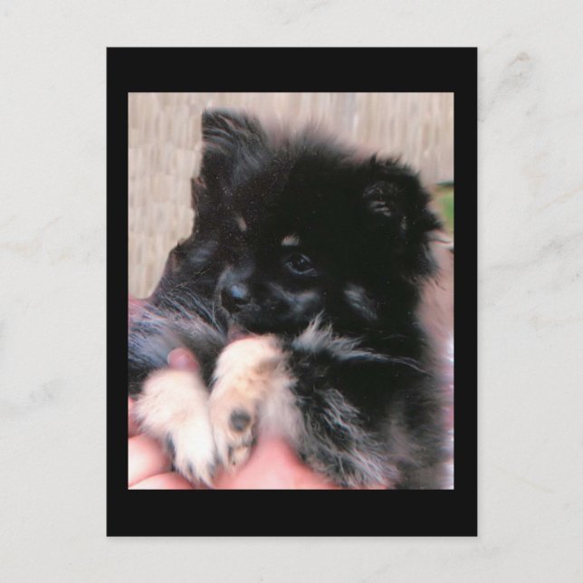 BINKIE POSTKARTE (Vorderseite)