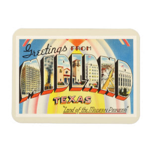 Binnenländische alte Vintage Reise-Andenken Texas Magnet