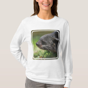 Binturong Bärn-Kapuzenpulli T-Shirt