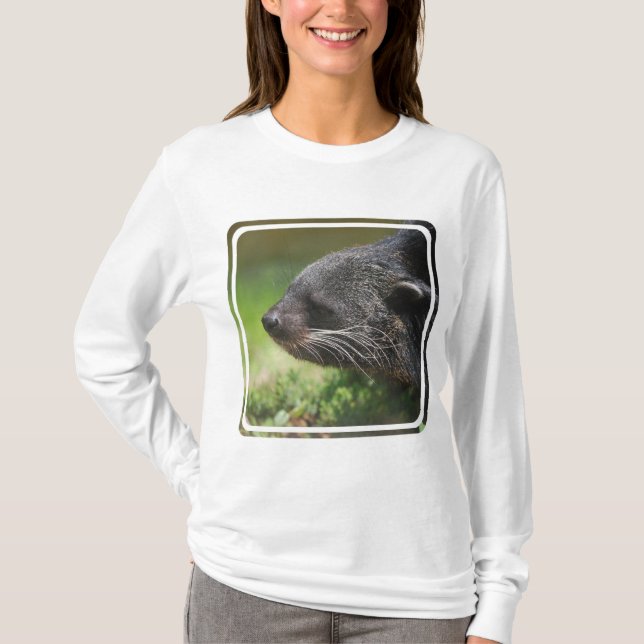 Binturong Bärn-Kapuzenpulli T-Shirt (Vorderseite)