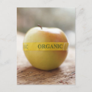 Bio Aufkleber auf Apfel Postkarte