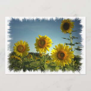 Bio im Garten arbeiteneinladung Einladung