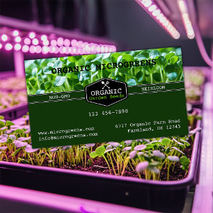 Bio Microgreens Visitenkarte