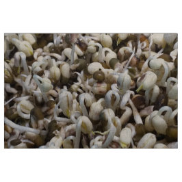 Bio Mung Sprouts - ein nährstoffverpacktes Superfo Stoff