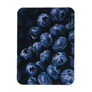 Bio Reifenhaufen Blaubeeren Magnet