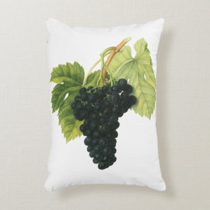 Bio-Traube Rotwein, Lebensmittel Obst Dekokissen