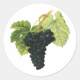 Bio-Traube Rotwein, Lebensmittel Obst Runder Aufkleber
