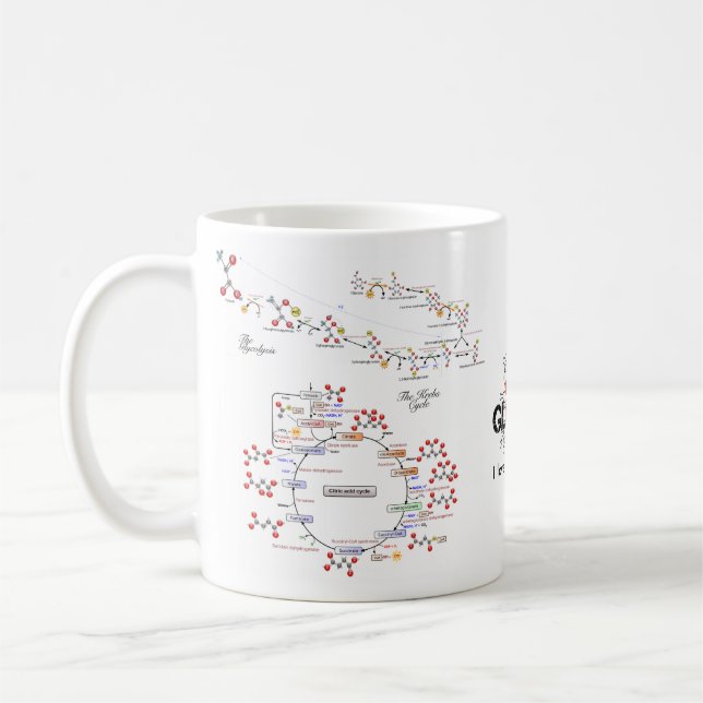 Biochemie-Tasse der Liebe I - Tazza Amo-La Kaffeetasse (Links)