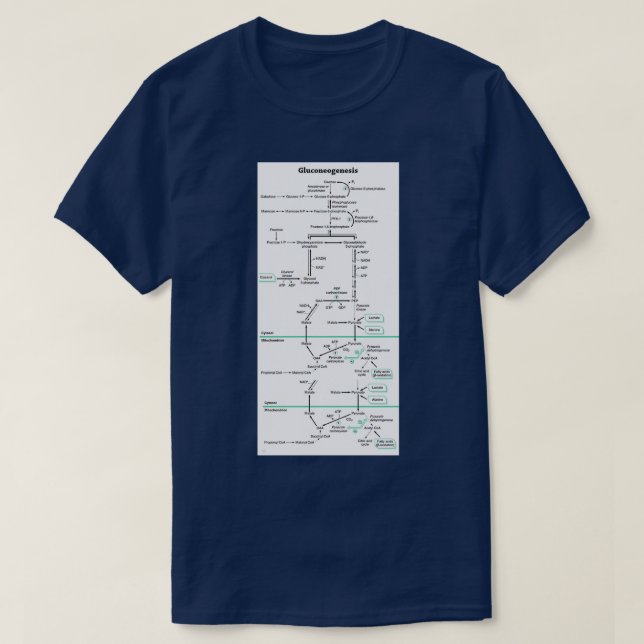 Biochemischer Glukoneogenese-Verlauf T-Shirt (Design vorne)