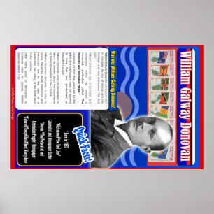 Biografie Williams Galway Donovan Poster