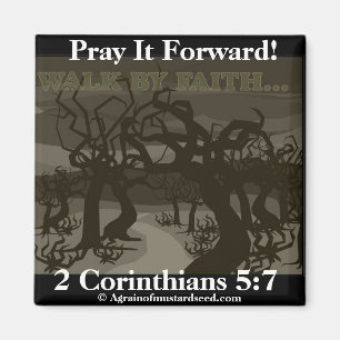 Biokotierungen Magnet