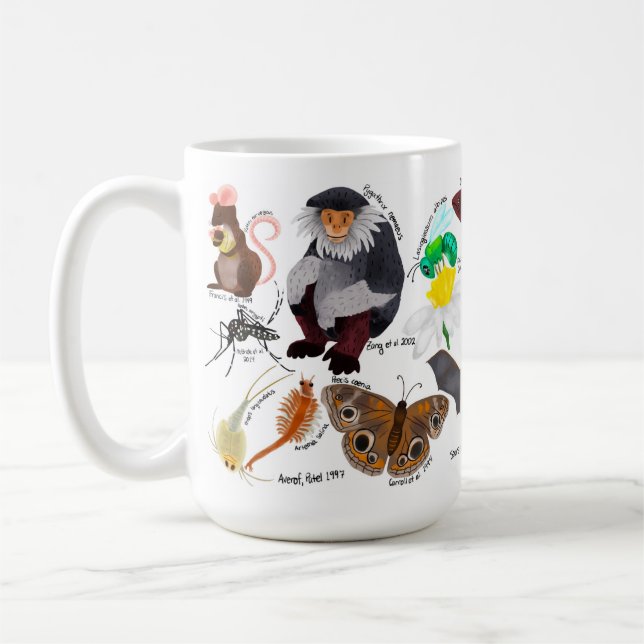 BIOL459 Model Organism Tasse (Links)