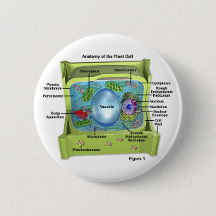 Biologie Button