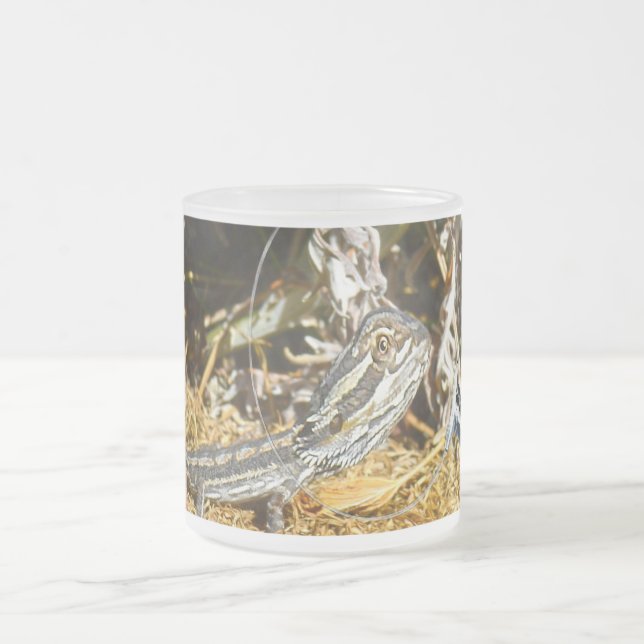 Biologie einer Baby-Bartonechse, Mattglastasse (Mittel)