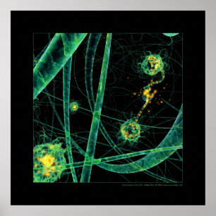 Biologie: Kommunikation #2 Poster