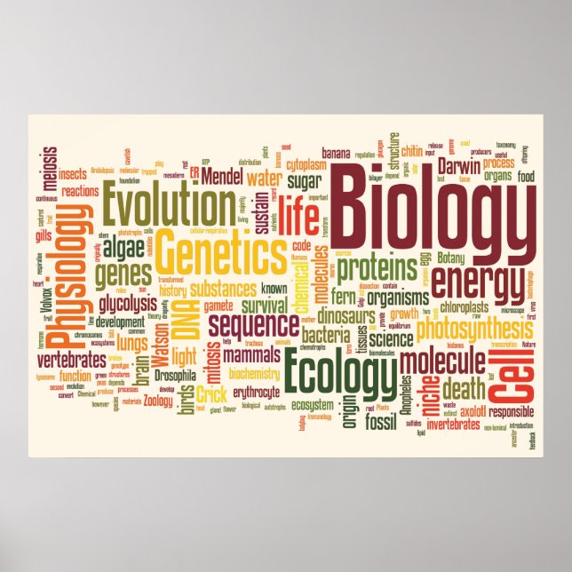 Biologie Latte Wordle Poster (Vorne)
