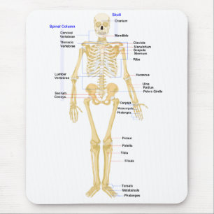 Biologie-Mausunterlage Mousepad