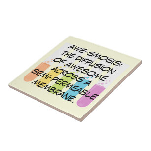 Biologie-u. Chemie-Lehrer: Wissenschaft ist Fliese