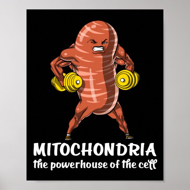 Biologie Wissenschaft Mitochondria Funny Joke Poster (Vorne)