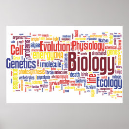 Biologie-Wörter Nr. 4 Poster