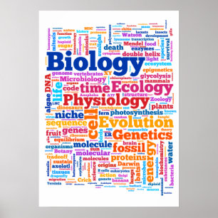 Biologie-Wörter Nr. 7 Poster
