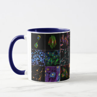 Biologie zur Tasse