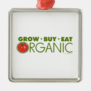 Biologisch Silbernes Ornament