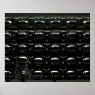 Biologische Gerecycelt Kammer Poster