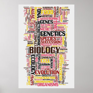 Biologische Wörter Nr. 11 Poster