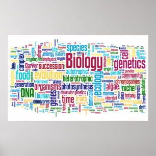 Biology Wordle No. 13 Poster