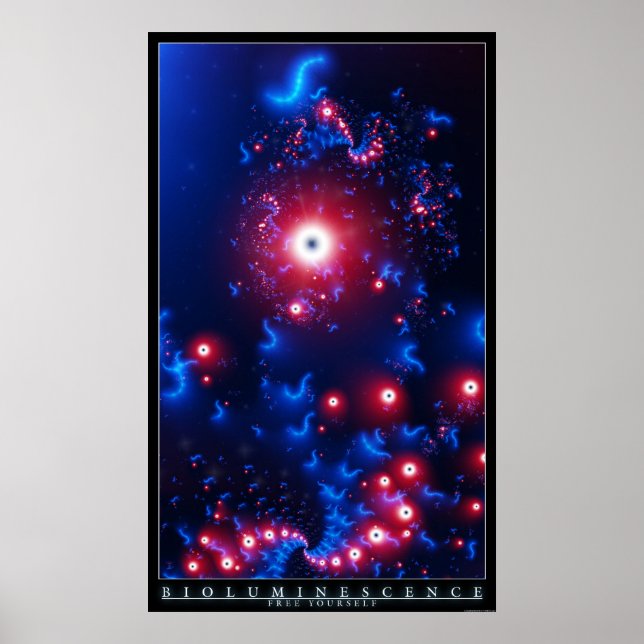 Biolumineszenz Poster (Vorne)