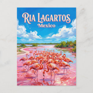 Biosphärenreservat Ría Lagartos Mexiko Postkarte