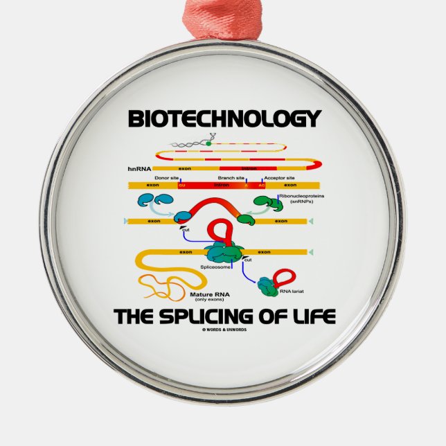 Biotechnologie das Verstärken des Lebens (reife Keramik Ornament (Vorne)
