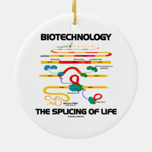 Biotechnologie das Verstärken des Lebens (reife Keramik Ornament