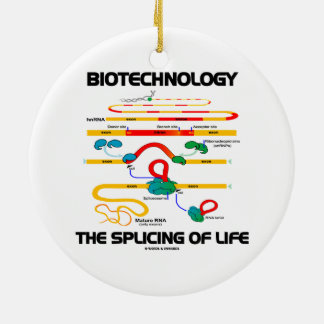 Biotechnologie das Verstärken des Lebens (reife Keramik Ornament