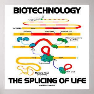 Biotechnologie: Splicing of Life (reife RNA) Poster