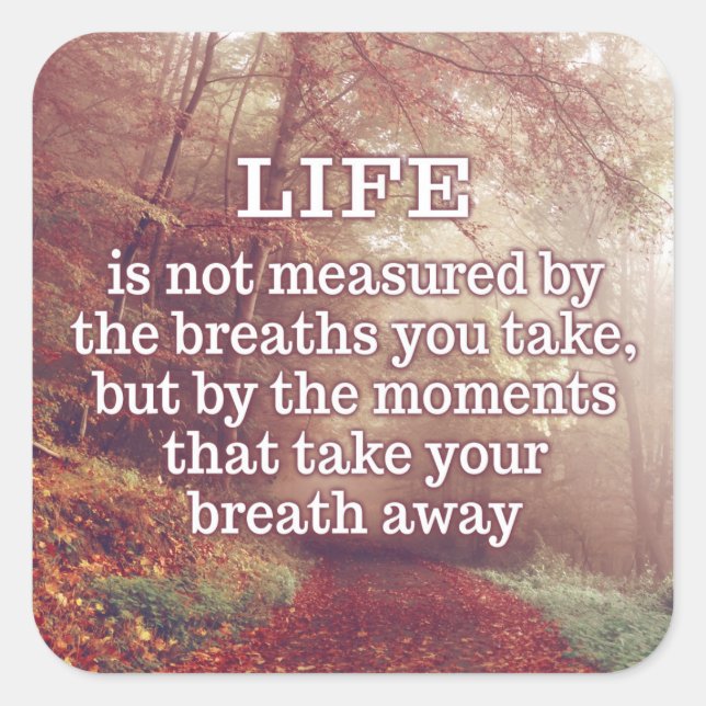 Biozid-Aufkleber Quadratischer Aufkleber (Vorderseite)