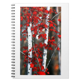 Birch#2-Notebook Notizblock
