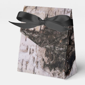 Birch Bark - Holzstruktur Natur Foto Geschenkschachtel