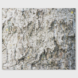 Birch bark pattern geschenkpapier
