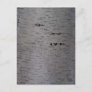 Birch Bark Postkarte