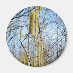 Birch Catkins Magnet