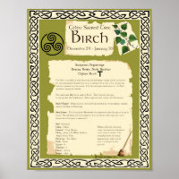 BIRCH CELTIC SACRED BAUM