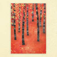 Birch Forest Landscape