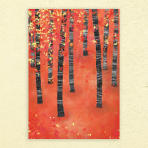 Birch Forest Landscape