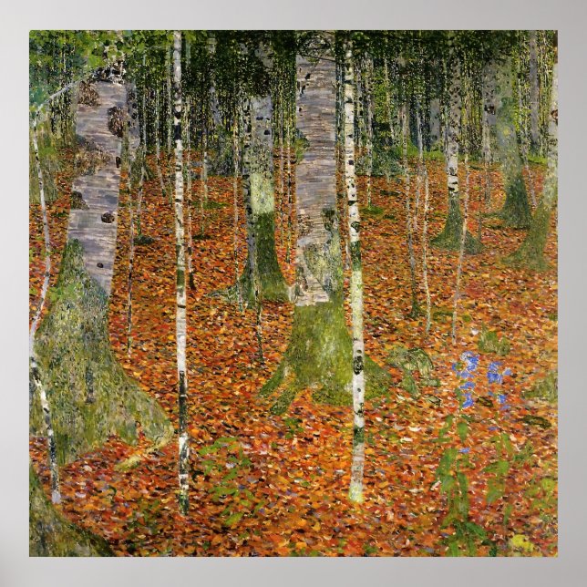 Birch Forest Poster (Vorne)