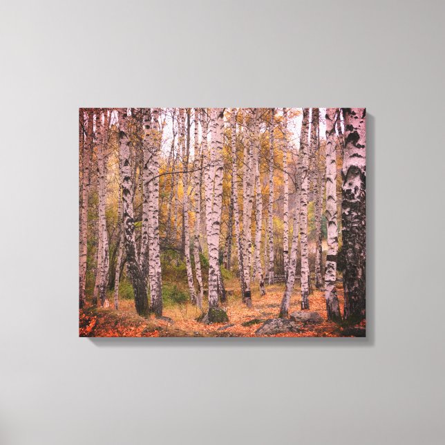 Birch Forrest Herbst Foto Single Leinwanddruck (Vorderseite)