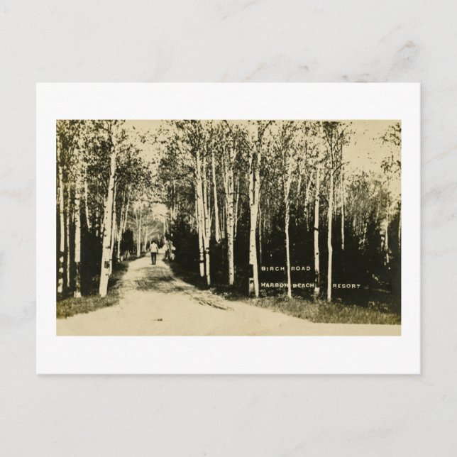 Birch Road Harbour Beach Resort, Michigan Postkarte (Vorderseite)