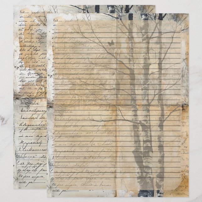 Birch Tree Altes Manuskript Briefbogen (Vorne/Hinten)